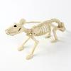 Halloween Decoration Mini Skeleton Bone Statues Poseable Rat Dog Spider Cat Owl Skeleton Figurine for Haunted House Party Decor