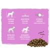 Bosch Mini Complete Nutritional Diet for Senior Dogs Ages Small High 1kg Senior, 7+, Grains, Premium,