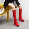 Large Size  Spring Boots Waterproof Platform Thick High Heel Cross Strap High Boots H