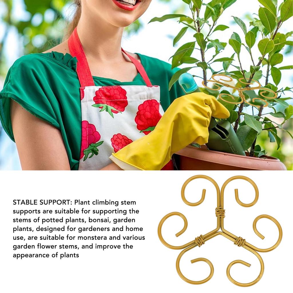 5Pcs Monstera Plant Support Hooks Iron Stem Holder Reusable for Growing Climbing
