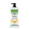 Longliqi Snake Gallbladder & Mugwort Anti-Dandruff Shampoo