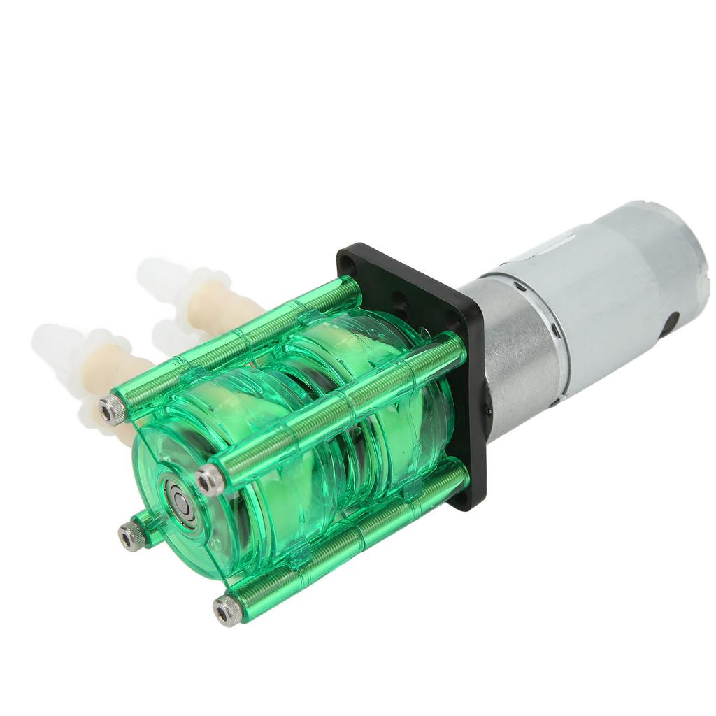 Dual Head High Flow Corrosion Resistant Peristaltic Pump Liquid Dosing Pump with BPT Tube 700ml/min