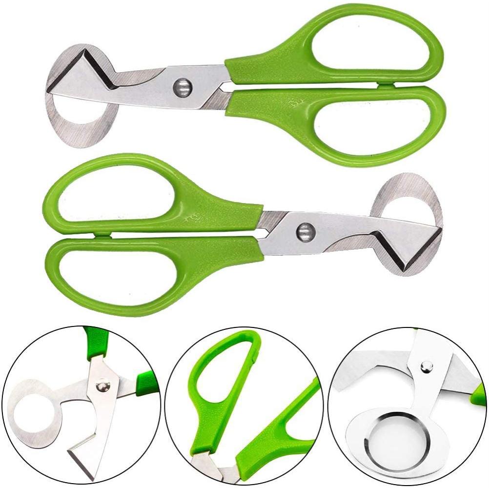 2PCS Stainless Steel Quail Egg Scissors Egg Shell Cutting Scissors Egg Divider Egg Opener Kitchen