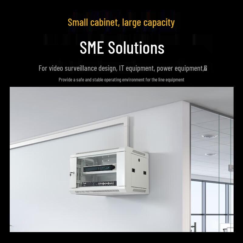 Shengwei 19-inch Wall-Mount Network Server Cabinet