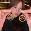 Unique and Beautiful Earrings - High-end Golden Tiger-eye Stone Earrings for Women