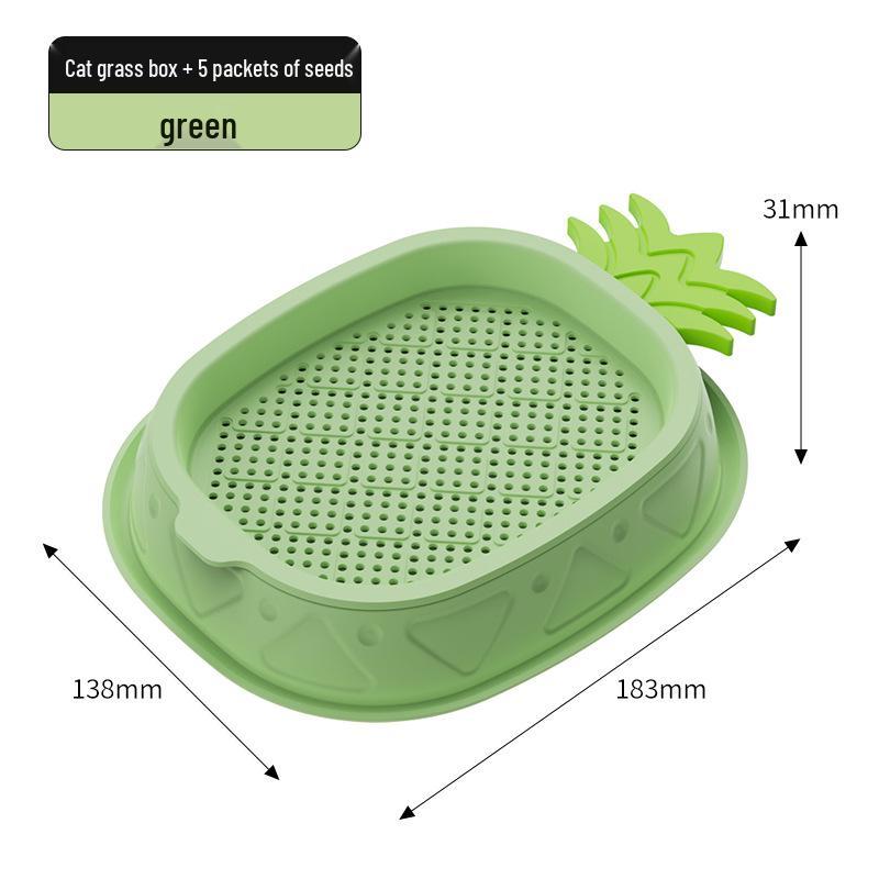 Cat Grass Hydroponic Kit: Wheatgrass Catnip Snacks for Hairball Relief
