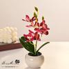 Artificial Orchids Bonsai with Vase,Vivid Orchid Flower Arrangement Phalaenopsis Flowers Pot for Home Office Decor Table Centerpiece House Decorations