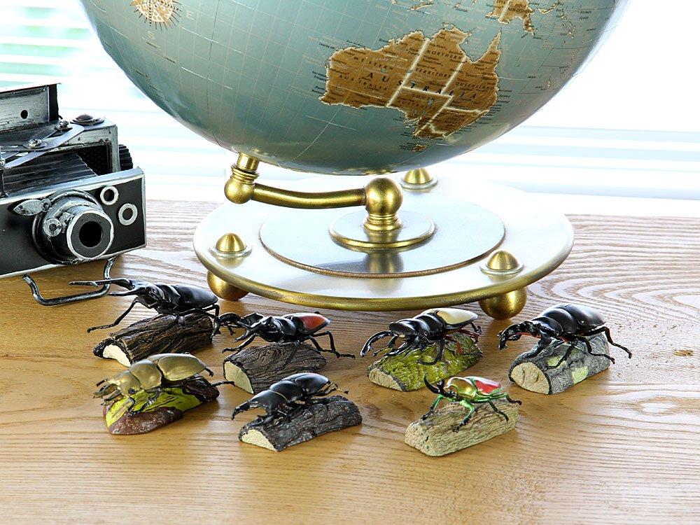 COLORATA Stag Beetle 3D Illustrated Book Types Explanation Realistic Figure Birthday Present Gift Sanitation Law Figure Box Beetle Christmas Present