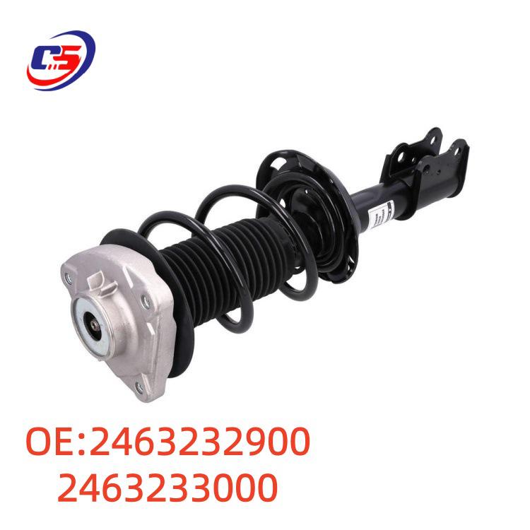 Front Shock Absorber Strut Assembly W246 for Mercedes CLA (2463232900, 2463233000)