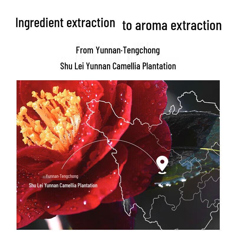 Sulei Camellia Anti-Dandruff Shampoo