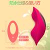 Remote Remote Vibrator Operation Suction Vibration Wearing 2 Points App 2 Points Outdoor Remote Medium Super Made of Soft Japanese Instruction Manual