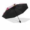 1pc Cats In Fruit Costumes Umbrella with Plastic Handle,Suitable for All Seasons Home Travel Outdoor Umbrellaptys31088
