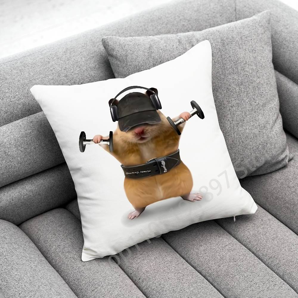 

Gym Hamster Mouse Rat Cat Throw Pillow Case For 30cm 40cm 45cm 50cm 55cm Square Sofa Pillowcase Shell 30cmx30cm