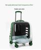 Transparent Pet Travel Suitcase & Stroller - Double-Layer, Airline-Approved for Cats & Dogs.