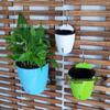 Self-Watering Hanging Flower Pot with Visible Water Level