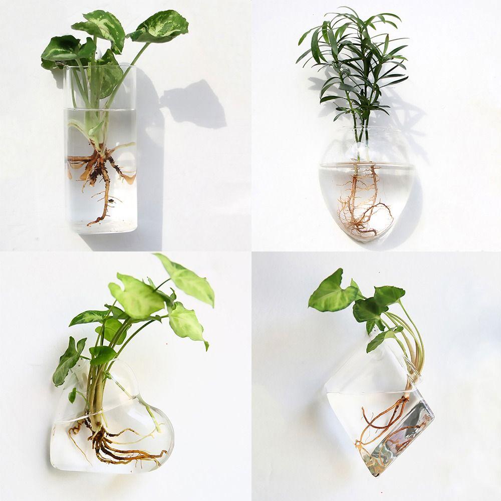 Hydroponics Plants Wall Hanging Vase Transparent Plant Propagation Vase  for Home Office Decor