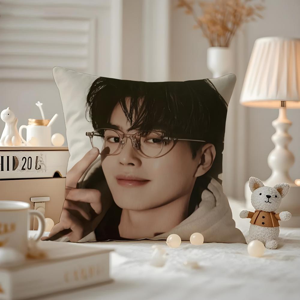 

korean sSong kKang Cushion Cover Antidustmite Pillowcase Invisible zipper silky short plush Sofa cushion cover 30X30cm