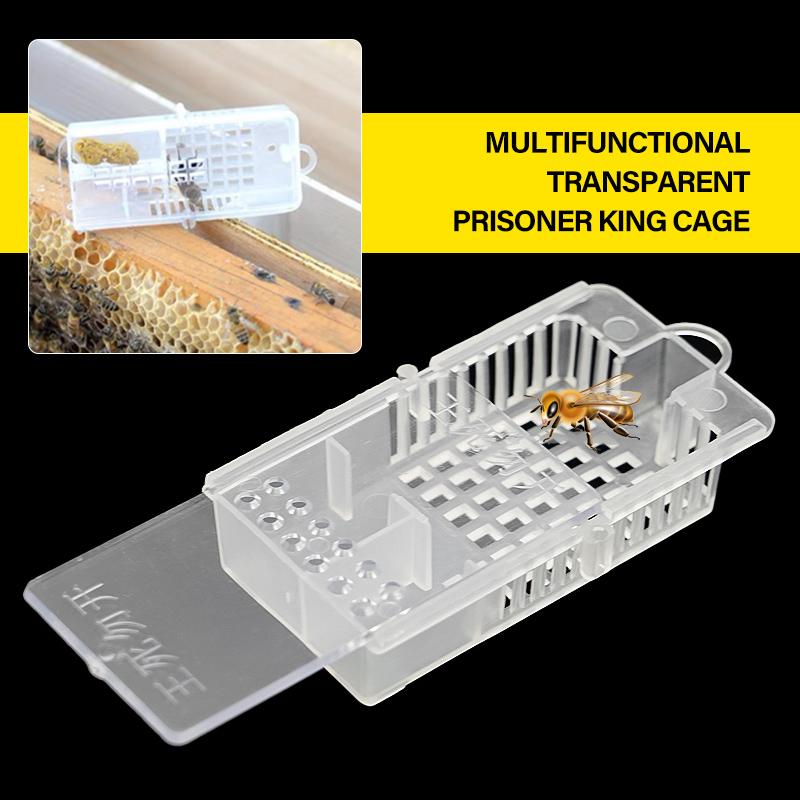 10 Pcs Queen Bee Cages Transparent Push-pull Queen Cage Bee Transport Prisoner Box Beekeeping Apiculture Beekeeper Rearing Tools