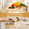 Stainless Steel Parrot Feeding Bowl Wooden Perch Stand Stainless Steel Water Feeder  For Parakeets