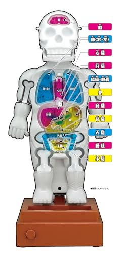 Megahouse Super Crush Human Body Model Action Game Ages 6 and up