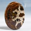 Mud Crack Fossil 4.1x5.7mm Natural Cabochon Fine Loose 97.1Cts. Z9m98
