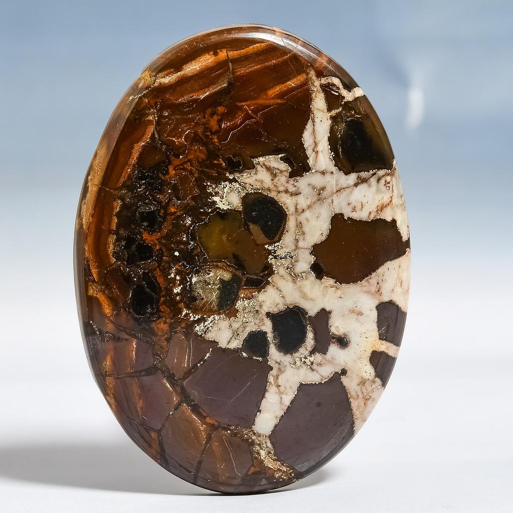 Mud Crack Fossil 4.1x5.7mm Natural Cabochon Fine Loose 97.1Cts. Z9m98