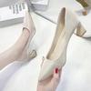 Women's Gentle High Heels Spring 2025 New Design Temperament Thick Heel Pointed Not Tired Feet Single Shoes Women's Summer