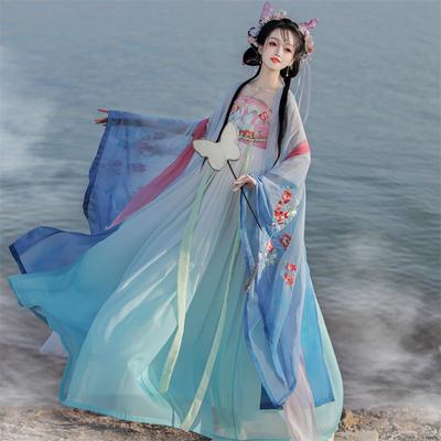 Çin Tang Hanedanlığı Tarzı HE ZI Elbise Hanfu Kadın Takım Elbise İşlemeli Günlük Takım Elbise