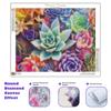 5D DIY Diamond Painting Succulent Plants Embroidery Cross Stitch Landscape Craft Kit Home Decoration 30x40cm/12x16inch