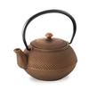 Logia Associates Nanbu Ironware Teapot Small Noren Original Color Pot Made In Enamel with Tea Strainer Traditional Japanese Tea Souvenir (Arare 0.4L -