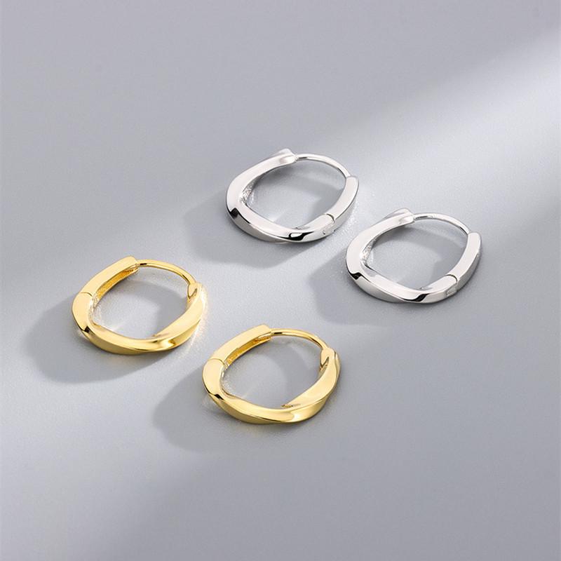2025 New Stainless Steel Earrings Sweet Mobius Distorted Charm Hoop Earrings For Women Daily Fashion Fine Jewelry DG0064