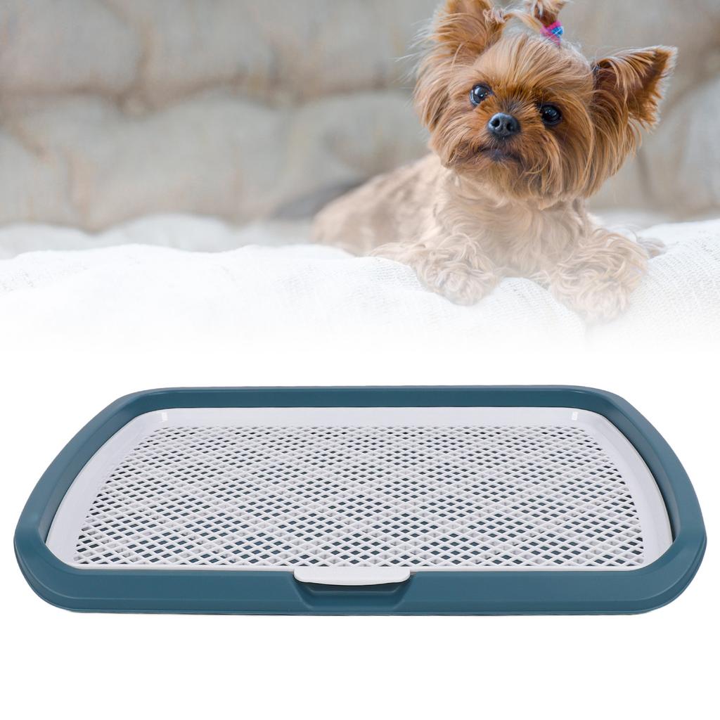 Vassoio per l'addestramento alla toilette per cuccioli Rete lavabile rimovibile Vassoio porta-assorbenti per urina per cani di piccola taglia