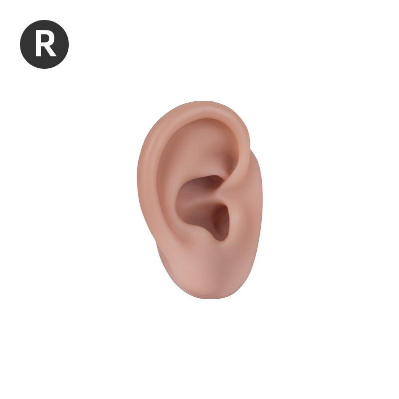5D Silicone Ear Model for Ear Picking, Teaching, Jewelry Display, and Hearing Aid Demonstration