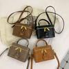 Textura Clássica Padrão De Pedra Pequeno Quadrado Saco Feminino Outono Inverno  Versátil Temperamento Crossbody Saco Sólido Festa Bolsa