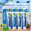 Yunnan Baiyao Classic Mint Toothpaste