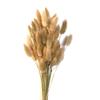 60pcs Nature Bunny Rabbit Tail Grass Dried Flower Bouquet Wedding Party Decor Fluffy Pampas Christmas Diy Floral Arrangement