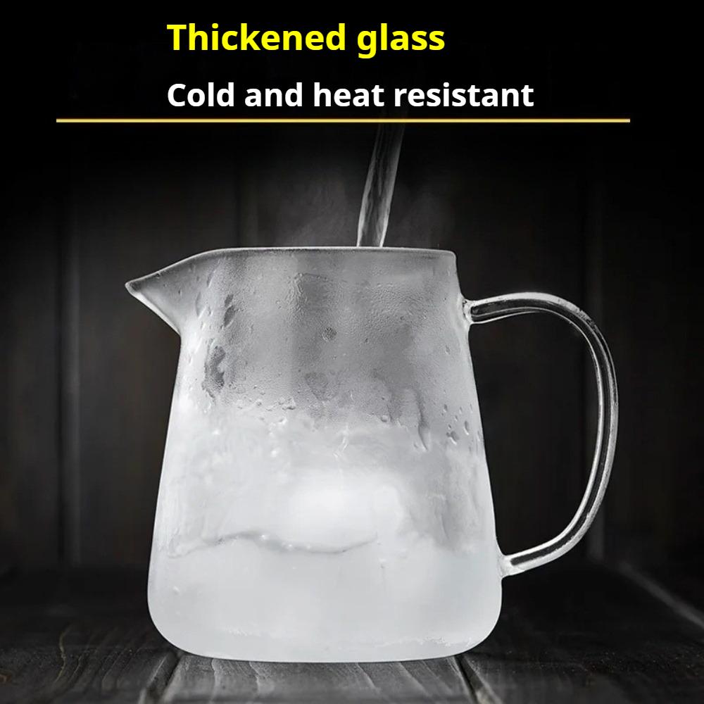 Glass Teapot With Stainless Steel Tea Infuser Blooming and Loose Leaf Tea Maker Tea Brewer Puer Oolong Pot for Camping Travel