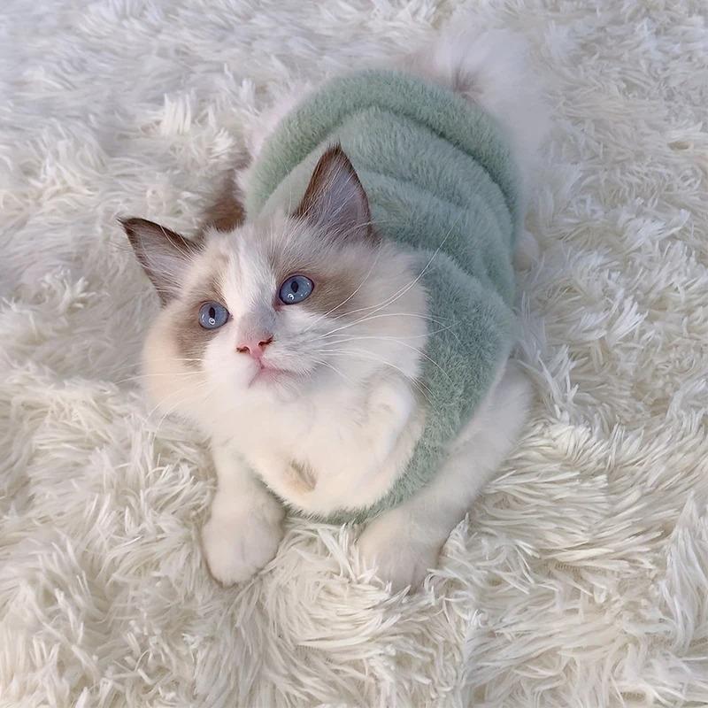 Katzenzubehör Haustiere Warme Kätzchenkleidung für den Winter Kätzchenzubehör für kleine Kätzchen Bekleidung Kühlende Kleidung Hundepullover Westen