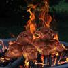 Skull Rocks, Skull for Fire Pit, Skeleton Fire Pit Head, Fireproof Skulls