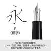 PILOT Füllfederhalter Custom Heritage SE F Fein (Dünn) Marmor Blau Schwarz FKVH3MRMALF Feder 14K