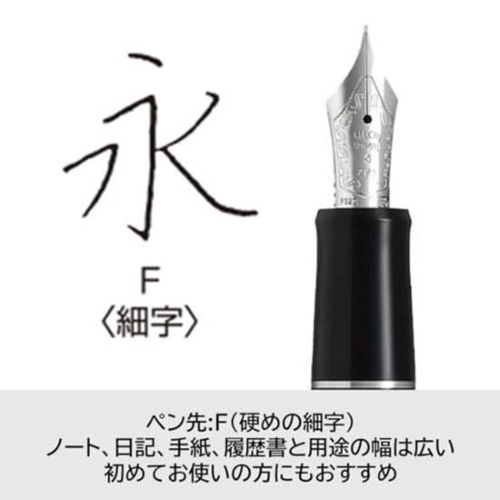 PILOT Füllfederhalter Custom Heritage SE F Fein (Dünn) Marmor Blau Schwarz FKVH3MRMALF Feder 14K