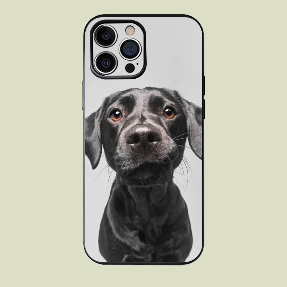 

cute dog Silicone Soft Phone Case For iPhone 17 16 15 14 13 12 Pro Max Cover iPhone15pro