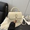This Year's Popular Handbags 2025 Autumn New Fashion Casual Simple Messenger Bags Trendy Commuter Shoulder Women's Bags
