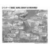 [Made In Japan] Beverly 80 Piece Jigsaw Puzzle Learn Jigsaw Puzzle Tyrannosaurus VS Velociraptor (26 X 38cm) 80-002