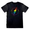 Flash Unisex Adult Pride Logo T-Shirt