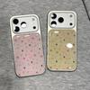 ins Korean full screen color floral application Apple 17Promax mobile phone case IP16 Epoxy water condensation 15pro set