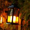 Tomshine Solar Powered Lantern Lights with LEDs Flameless Candle Outdoor Garden Hanging Lanterns Decorative for Table Backyard Party Garden