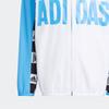 adidas Kids Jackets Hooded Moderate HM5191