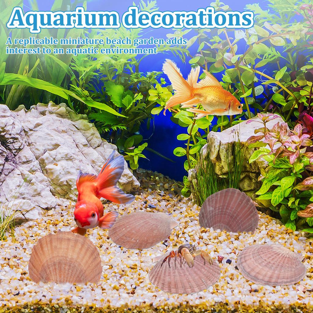 30Pcs Scallop Shell Set 2.76 to 3.35 Inch Decorative Processed Purple Red Sea Shell with Paint and Paintbrush for DIY Painting