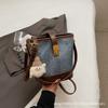 New Bag Women's Bucket Bag Spring and Summer Niche Design Messenger Bag High-end Sense Work Small Bag